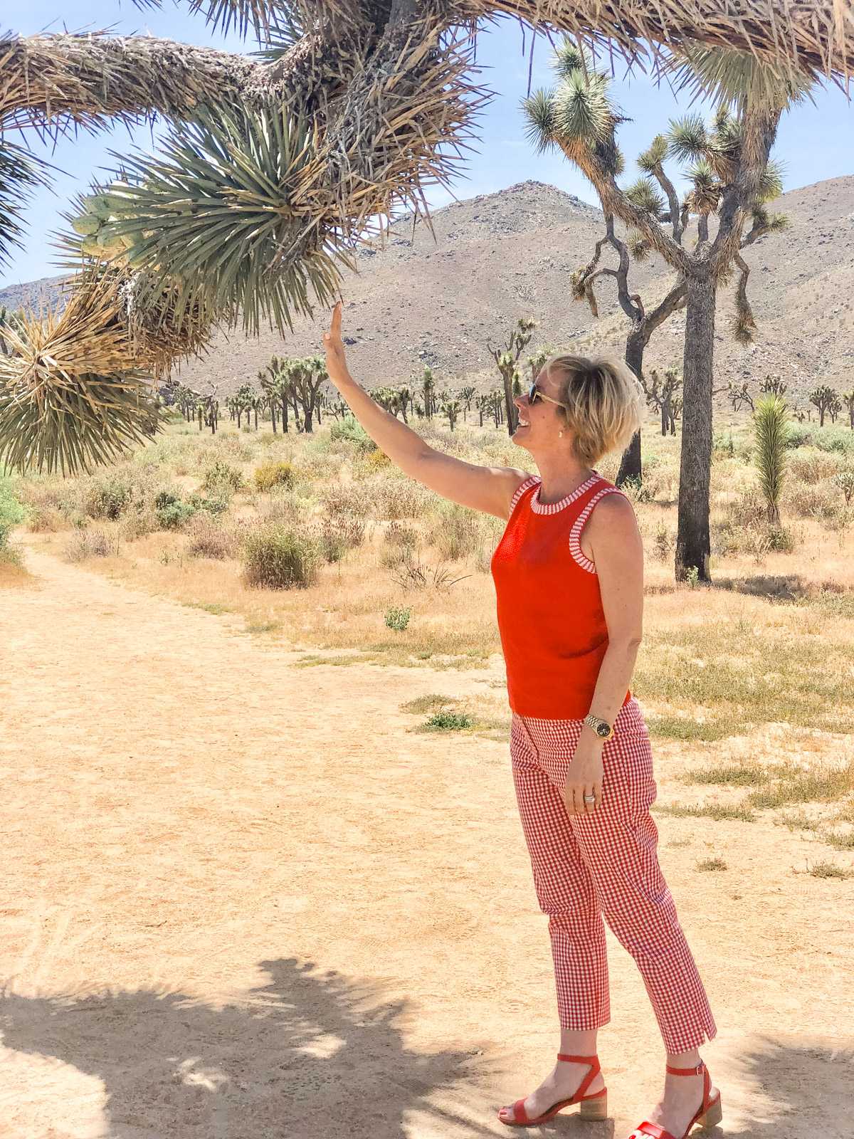 Kerrie Kelly-Joshua Tree